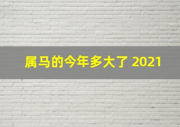 属马的今年多大了 2021